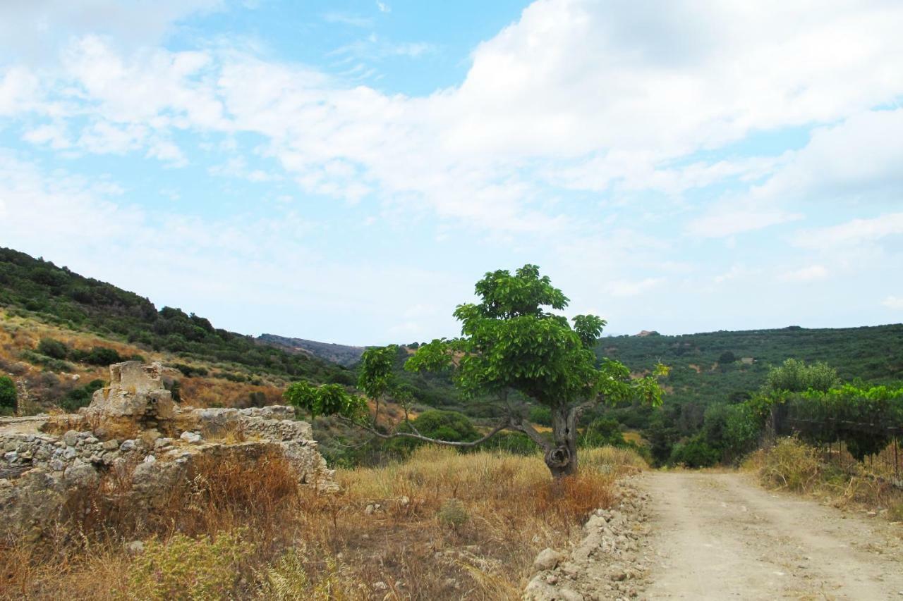 Petrakis Cretan Homes Kíssamos Esterno foto