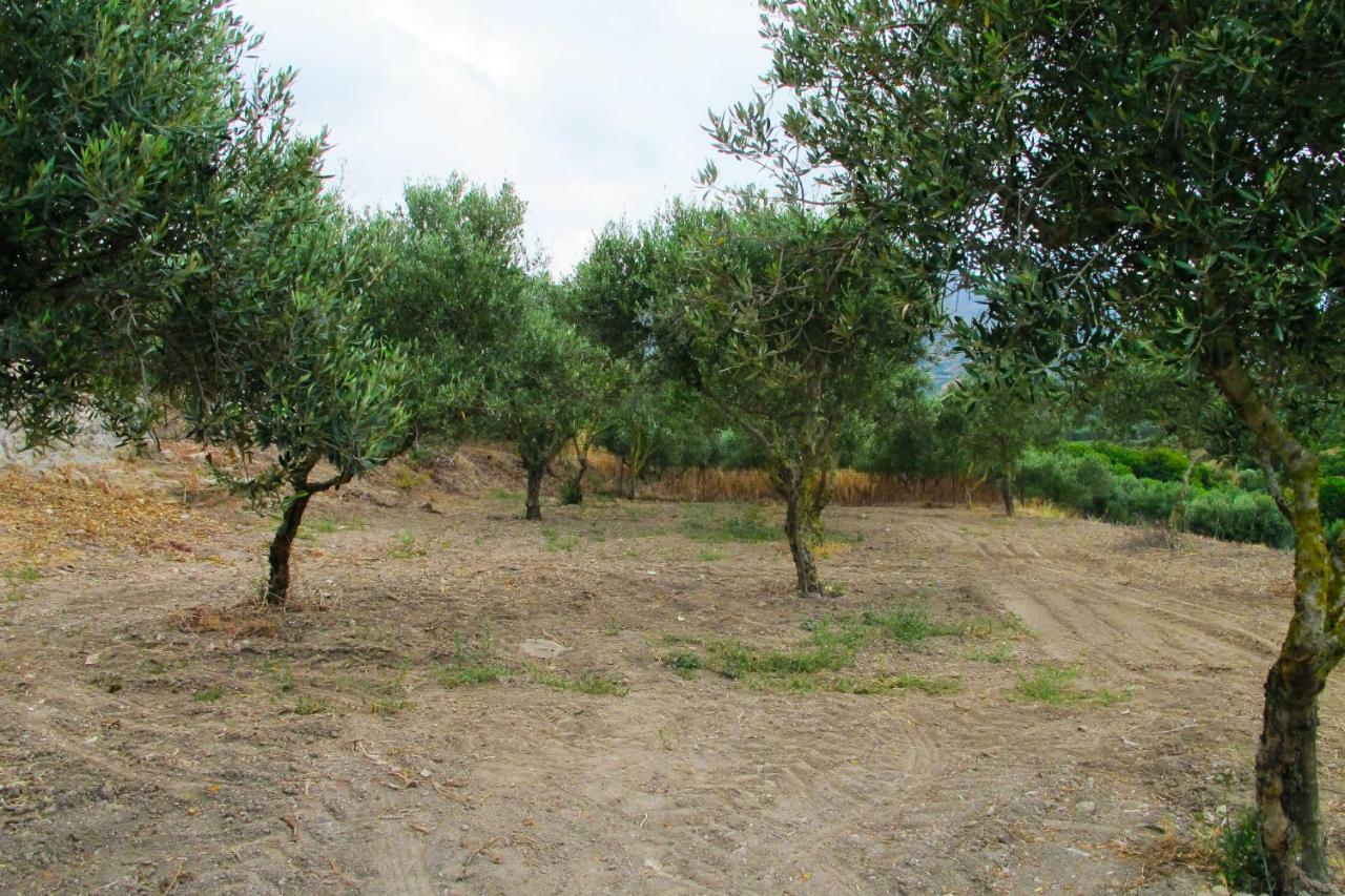 Petrakis Cretan Homes Kíssamos Esterno foto